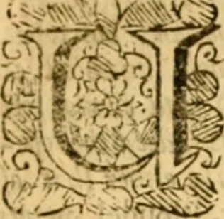 An illustration from Five disputations of church-government, and worship, 1659, leaf 212