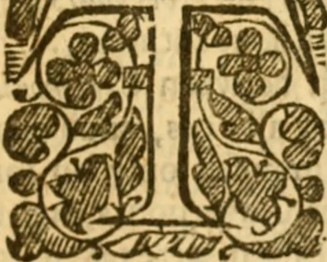 An illustration from Five disputations of church-government, and worship, 1659, leaf 480