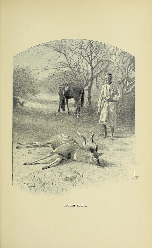 An illustration from Five months' sport in Somali land, 1894, leaf 117
