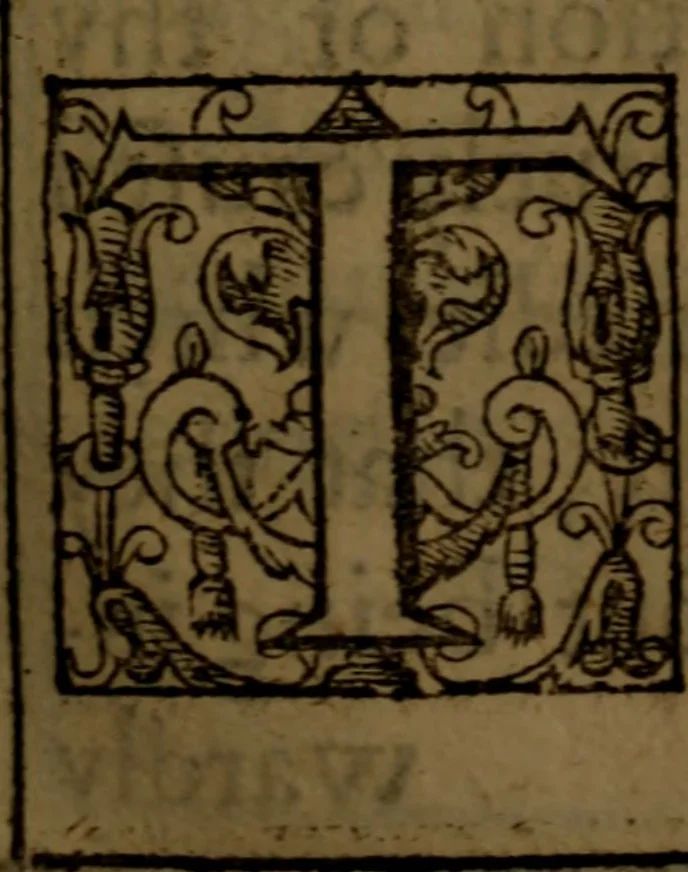 An illustration from Five books of philosophicall comfort ..., 1609, leaf 116