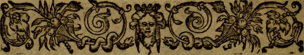 An illustration from Five books of philosophicall comfort ..., 1609, leaf 17
