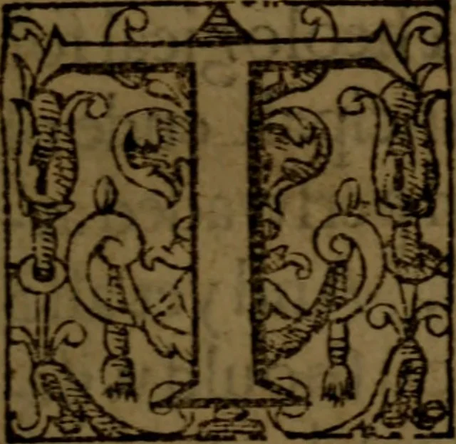 An illustration from Five books of philosophicall comfort ..., 1609, leaf 8