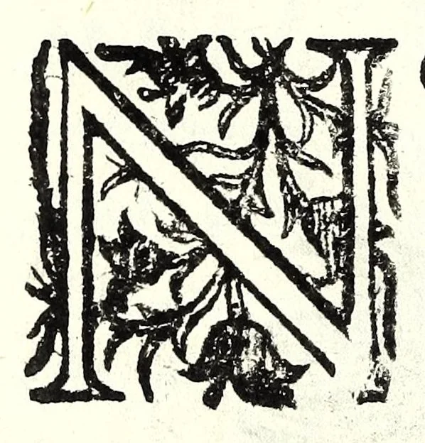 An illustration from Flagello militare, diuiso in quattro parti : la prima tratta de' trabucchi, la seconda de' petardi, la terza de' burlotti, e fuochi artificiali di mare e di terra, la quarta di mine, contramine, e d'altre cose importanti all'arte militare, 1676, leaf 236