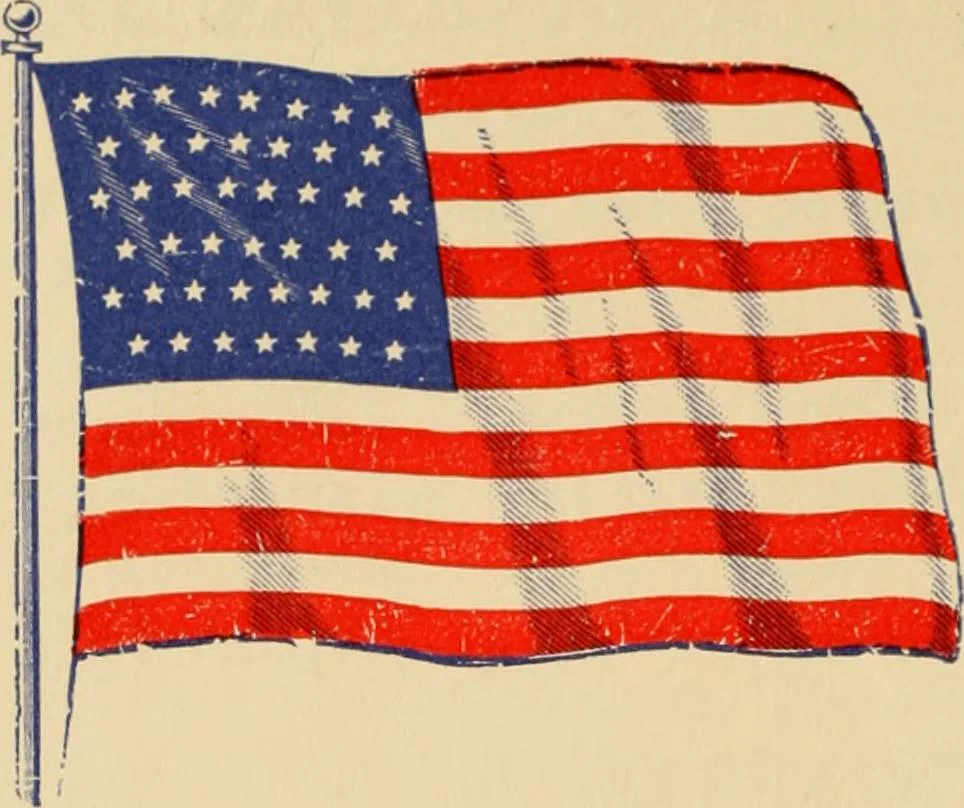An illustration from Flags, banners and decoration goods of every description., 1915, leaf 146