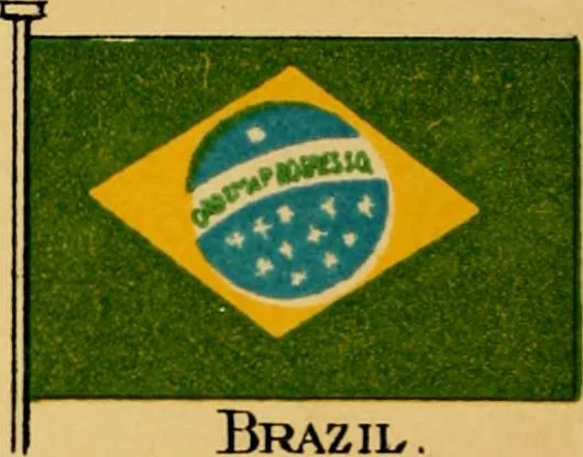 An illustration from Flags, banners and decoration goods of every description., 1915, leaf 180