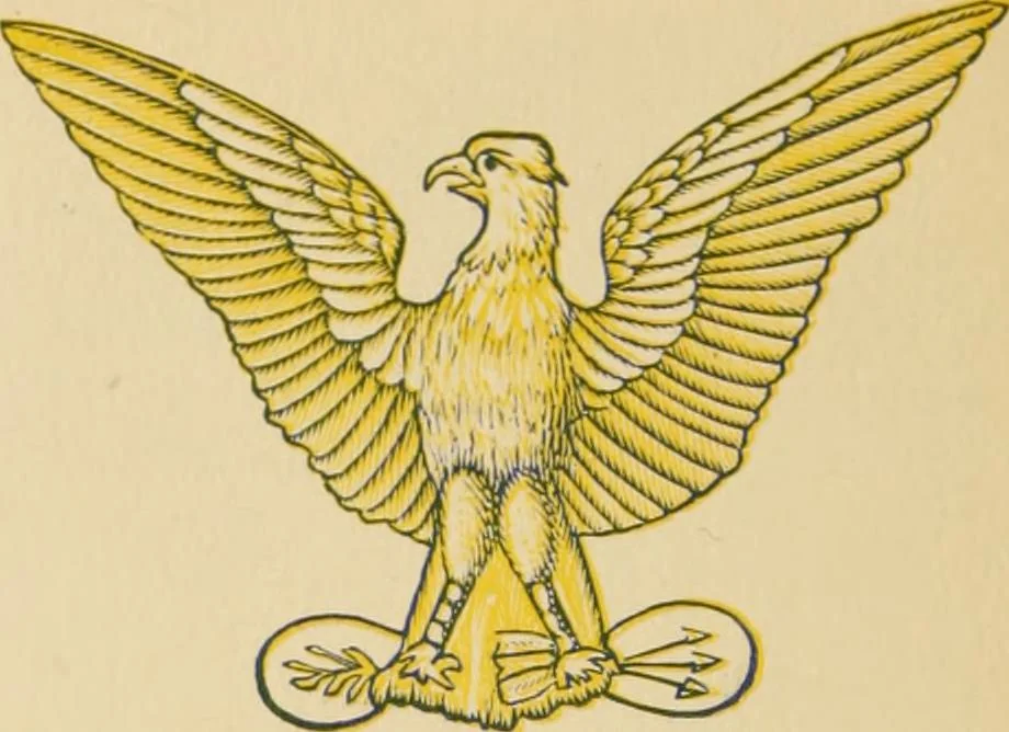 An illustration from Flags, banners and decoration goods of every description., 1915, leaf 68
