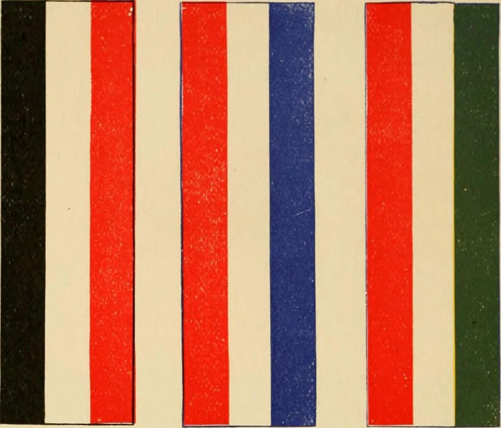 An illustration from Flags, banners and decoration goods of every description., 1915, leaf 78