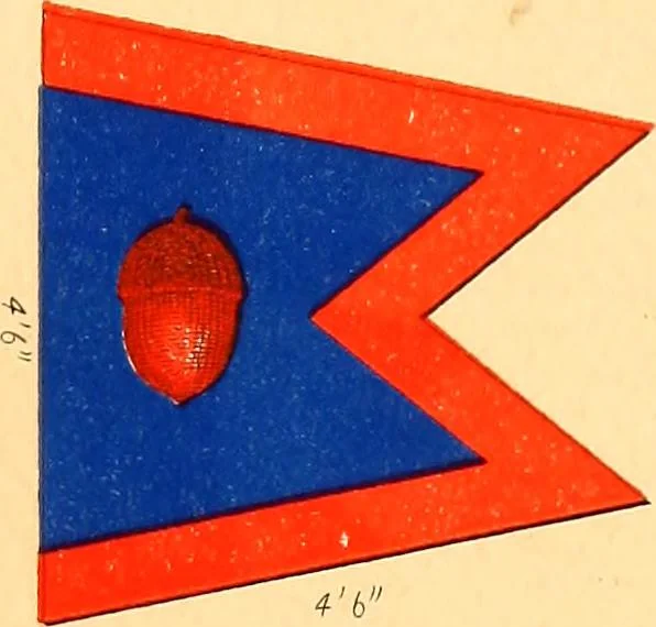 An illustration from Flags of the Army of the United States carried during the War of the Rebellion, 1861-1865, to designate the headquarters of the different armies, army corps, divisions and brigades, 1887, leaf 105