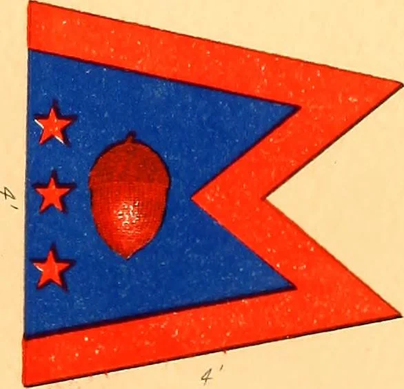 An illustration from Flags of the Army of the United States carried during the War of the Rebellion, 1861-1865, to designate the headquarters of the different armies, army corps, divisions and brigades, 1887, leaf 105