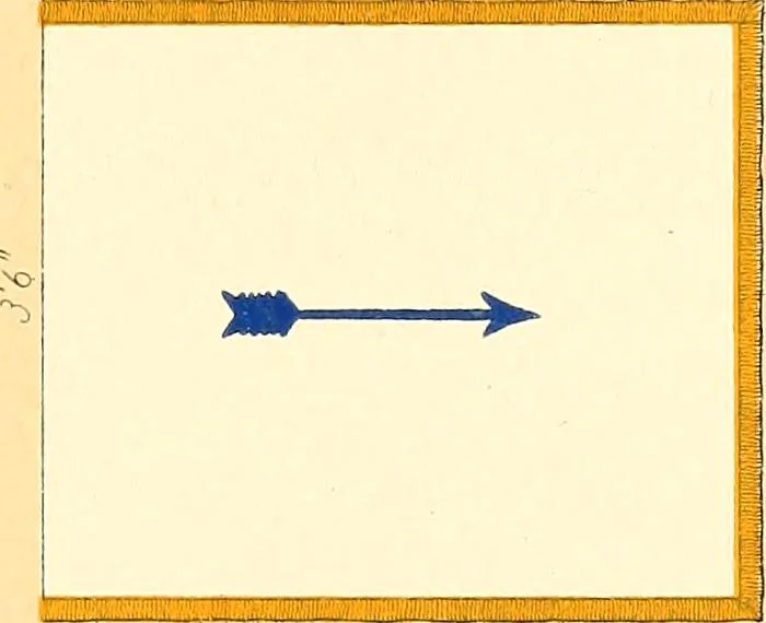 An illustration from Flags of the Army of the United States carried during the War of the Rebellion, 1861-1865, to designate the headquarters of the different armies, army corps, divisions and brigades, 1887, leaf 119