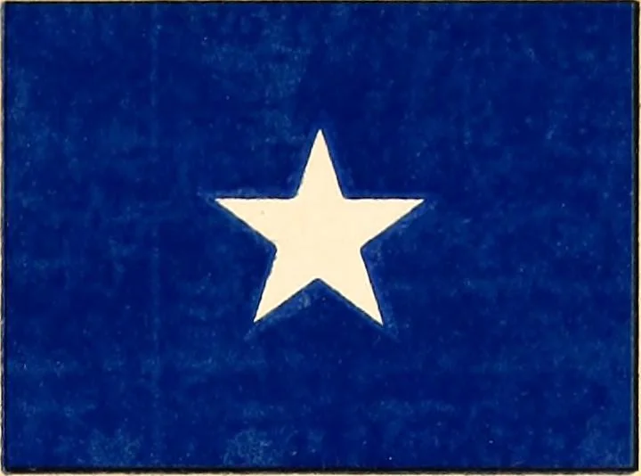 An illustration from Flags of the Army of the United States carried during the War of the Rebellion, 1861-1865, to designate the headquarters of the different armies, army corps, divisions and brigades, 1887, leaf 139