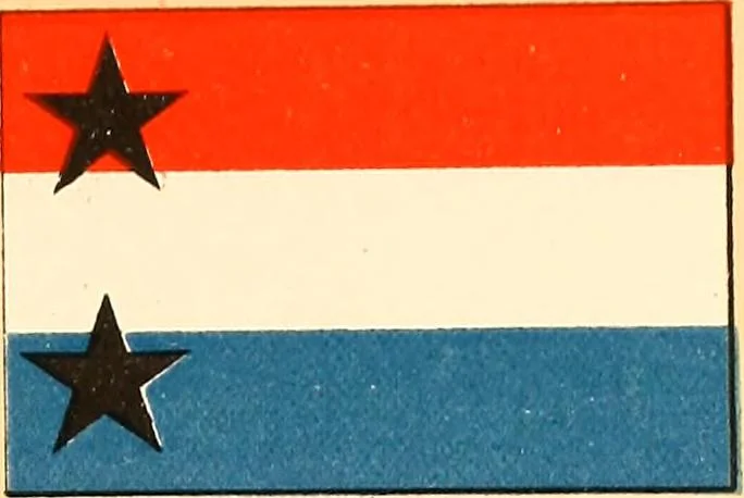 An illustration from Flags of the Army of the United States carried during the War of the Rebellion, 1861-1865, to designate the headquarters of the different armies, army corps, divisions and brigades, 1887, leaf 143