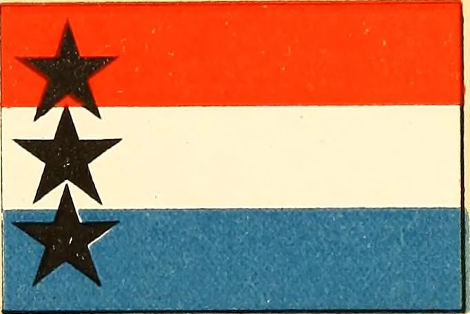 An illustration from Flags of the Army of the United States carried during the War of the Rebellion, 1861-1865, to designate the headquarters of the different armies, army corps, divisions and brigades, 1887, leaf 143