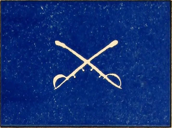 An illustration from Flags of the Army of the United States carried during the War of the Rebellion, 1861-1865, to designate the headquarters of the different armies, army corps, divisions and brigades, 1887, leaf 167