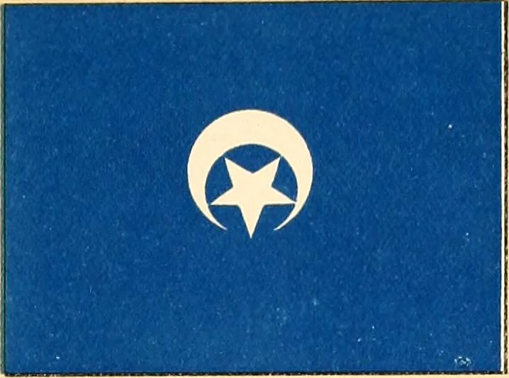 An illustration from Flags of the Army of the United States carried during the War of the Rebellion, 1861-1865, to designate the headquarters of the different armies, army corps, divisions and brigades, 1887, leaf 79