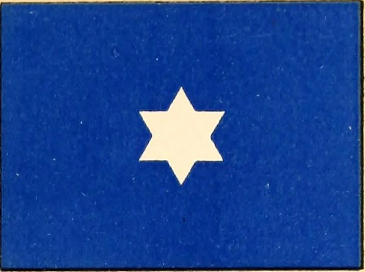 An illustration from Flags of the Army of the United States carried during the War of the Rebellion, 1861-1865, to designate the headquarters of the different armies, army corps, divisions and brigades, 1887, leaf 83
