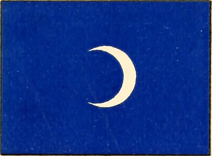 An illustration from Flags of the Army of the United States carried during the War of the Rebellion, 1861-1865, to designate the headquarters of the different armies, army corps, divisions and brigades, 1887, leaf 95