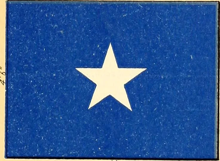 An illustration from Flags of the Army of the United States carried during the War of the Rebellion, 1861-1865, to designate the headquarters of the different armies, army corps, divisions and brigades, 1887, leaf 99