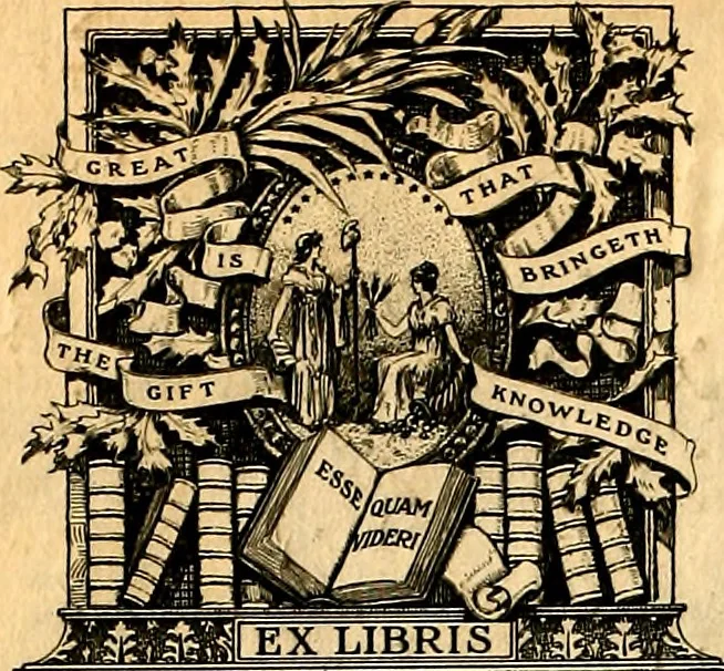 An illustration from The flags of the Confederate armies. Returned to the men who bore them by the United States government, 1905, leaf 1