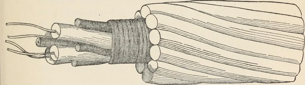An illustration from Flame, electricity and the camera; man's progress from the first kindling of fire to the wireless telegraph and the photography of color, 1900, leaf 230