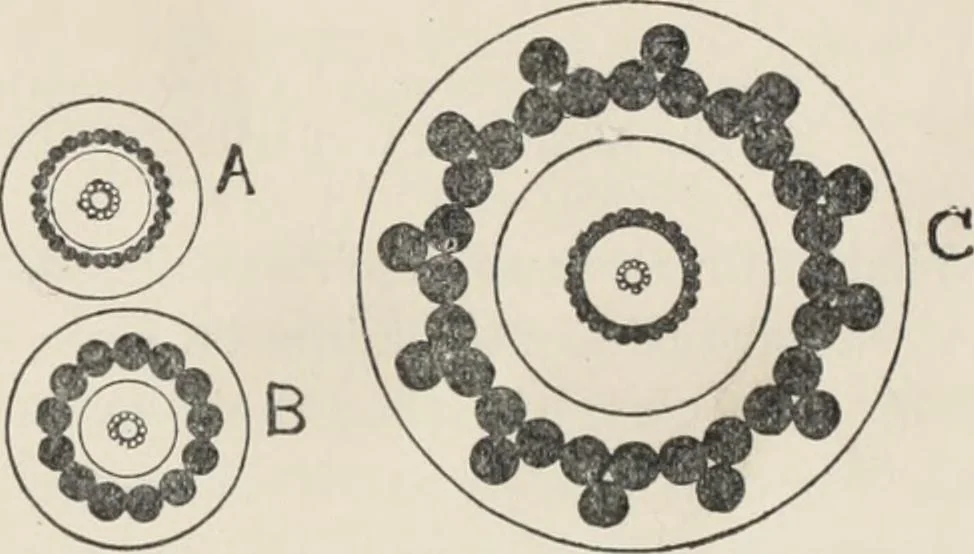 An illustration from Flame, electricity and the camera; man's progress from the first kindling of fire to the wireless telegraph and the photography of color, 1900, leaf 237