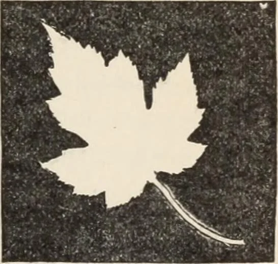 An illustration from Flame, electricity and the camera; man's progress from the first kindling of fire to the wireless telegraph and the photography of color, 1900, leaf 310
