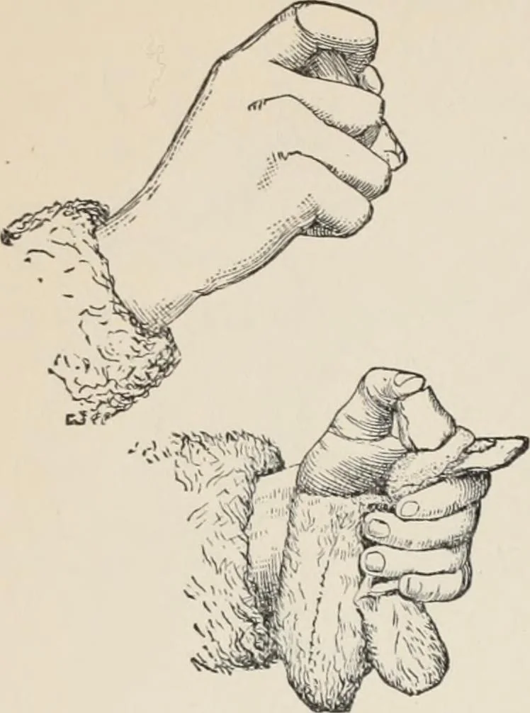 An illustration from Flame, electricity and the camera; man's progress from the first kindling of fire to the wireless telegraph and the photography of color, 1900, leaf 39
