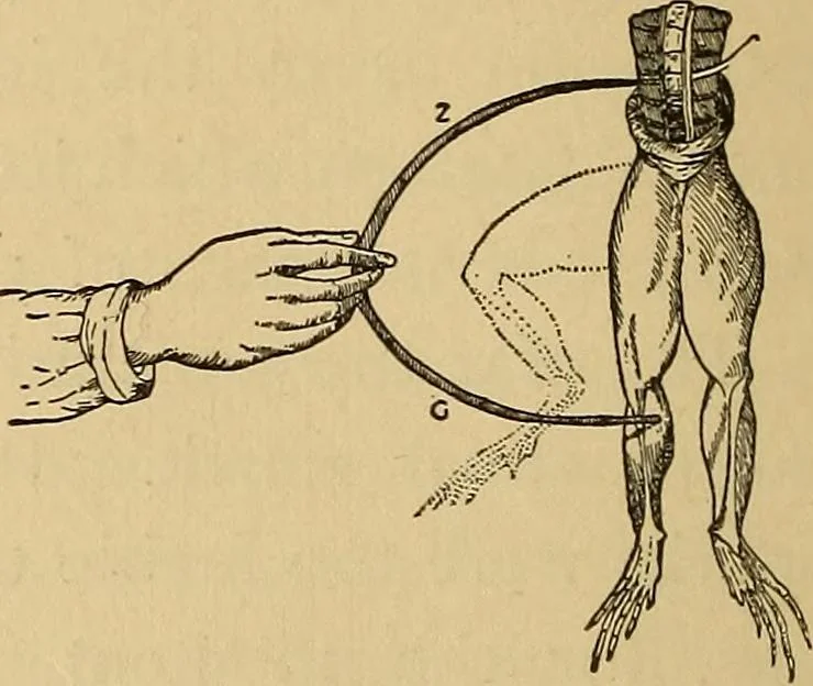An illustration from Flame, electricity and the camera; man's progress from the first kindling of fire to the wireless telegraph and the photography of color, 1901, leaf 124