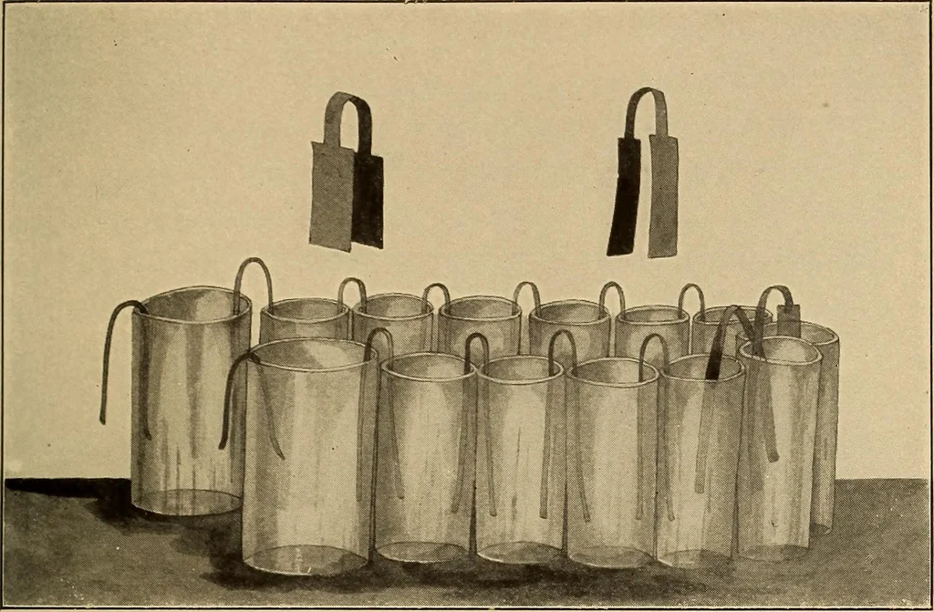 An illustration from Flame, electricity and the camera; man's progress from the first kindling of fire to the wireless telegraph and the photography of color, 1901, leaf 135