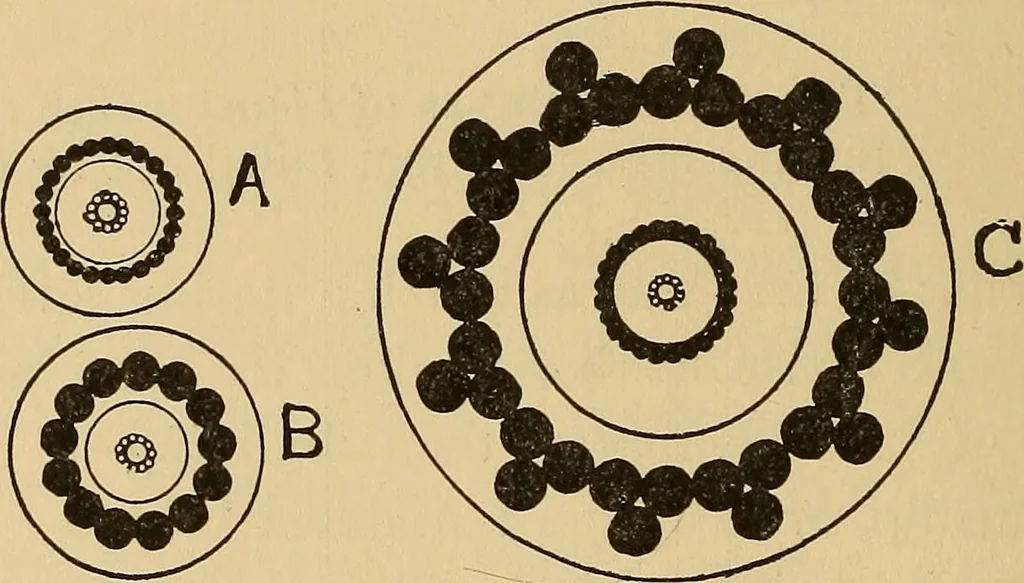 An illustration from Flame, electricity and the camera; man's progress from the first kindling of fire to the wireless telegraph and the photography of color, 1901, leaf 236