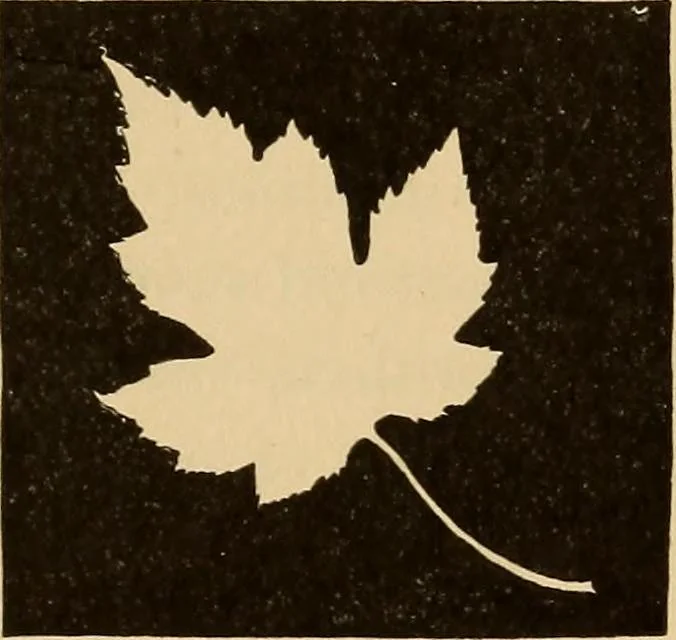 An illustration from Flame, electricity and the camera; man's progress from the first kindling of fire to the wireless telegraph and the photography of color, 1901, leaf 309