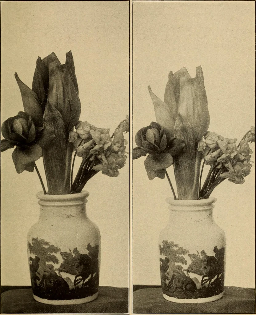An illustration from Flame, electricity and the camera; man's progress from the first kindling of fire to the wireless telegraph and the photography of color, 1901, leaf 327