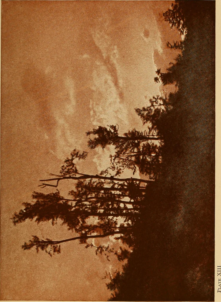 An illustration from Flame, electricity and the camera; man's progress from the first kindling of fire to the wireless telegraph and the photography of color, 1901, leaf 359