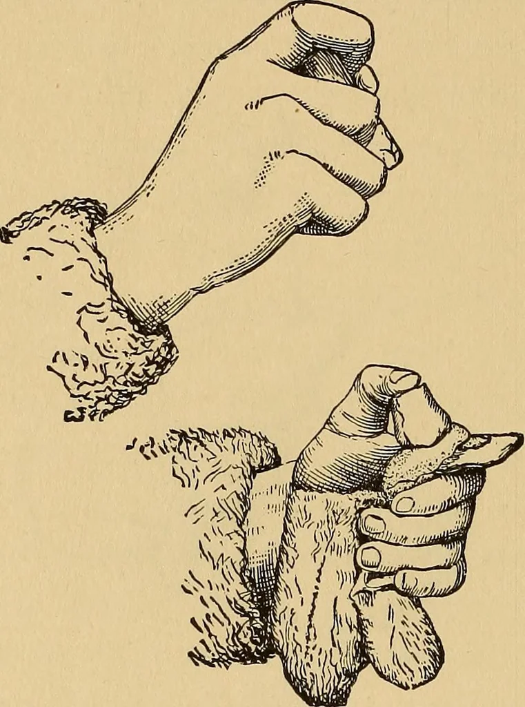 An illustration from Flame, electricity and the camera; man's progress from the first kindling of fire to the wireless telegraph and the photography of color, 1901, leaf 38