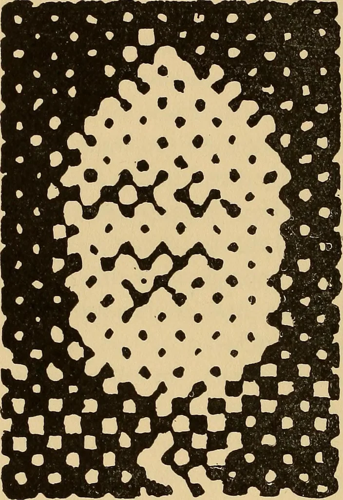 An illustration from Flame, electricity and the camera; man's progress from the first kindling of fire to the wireless telegraph and the photography of color, 1901, leaf 382