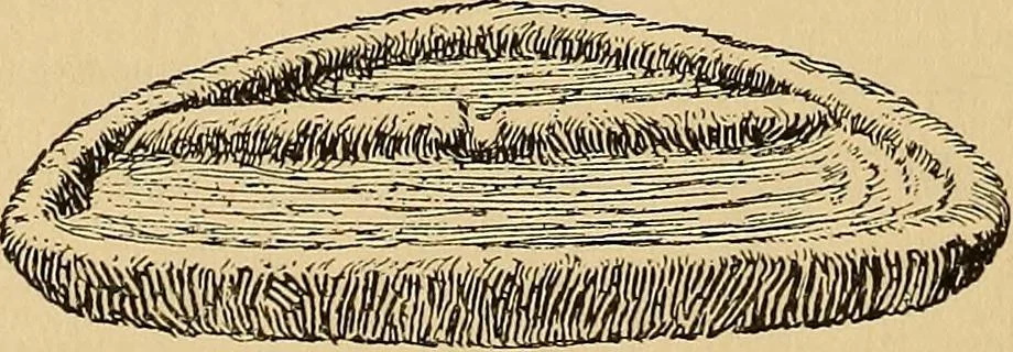 An illustration from Flame, electricity and the camera; man's progress from the first kindling of fire to the wireless telegraph and the photography of color, 1901, leaf 46