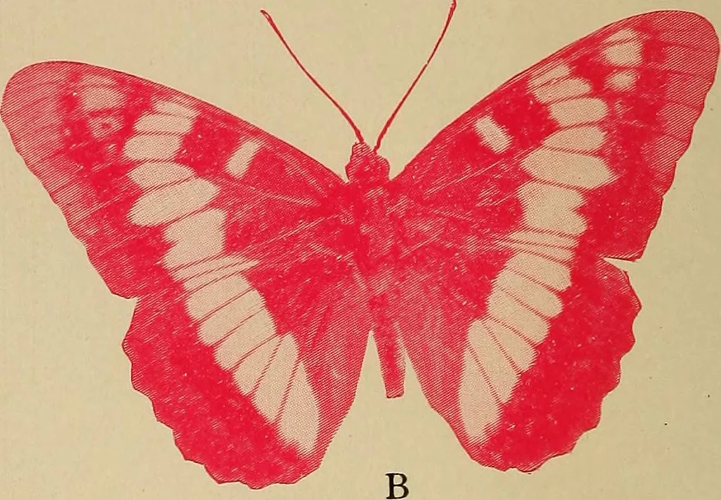 An illustration from Flame, electricity and the camera; man's progress from the first kindling of fire to the wireless telegraph and the photography of color, 1901, leaf 6