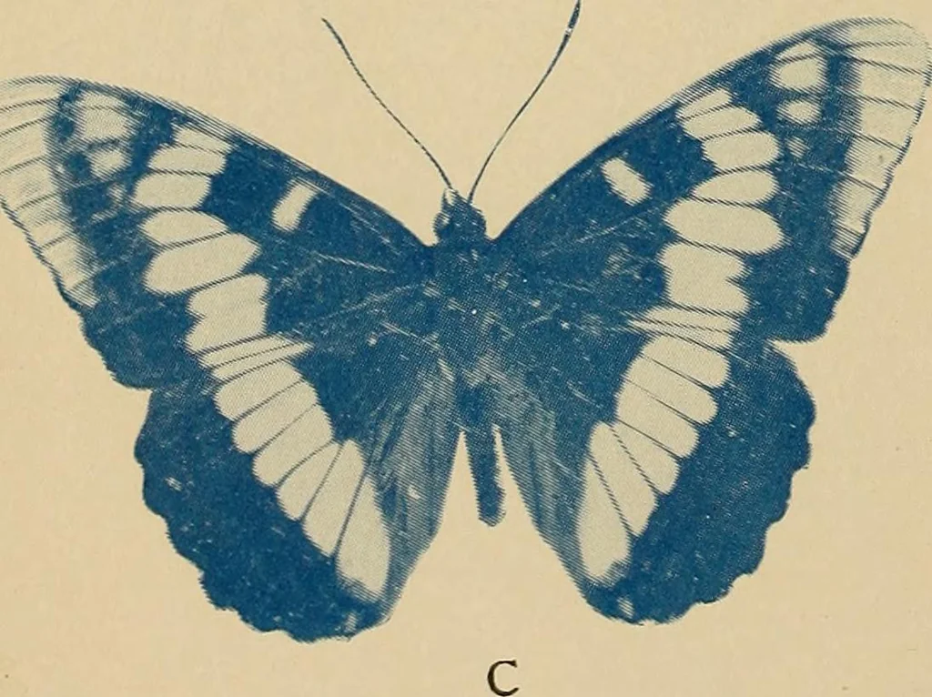 An illustration from Flame, electricity and the camera; man's progress from the first kindling of fire to the wireless telegraph and the photography of color, 1901, leaf 6