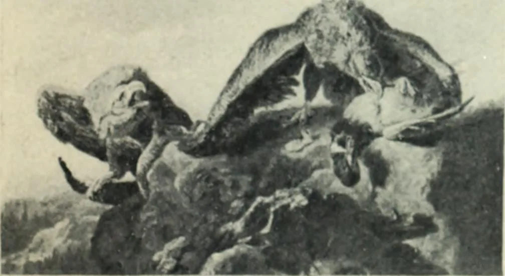 An illustration from Flandre, 1913, leaf 295