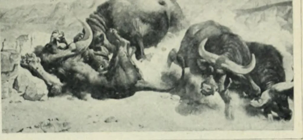 An illustration from Flandre, 1913, leaf 335