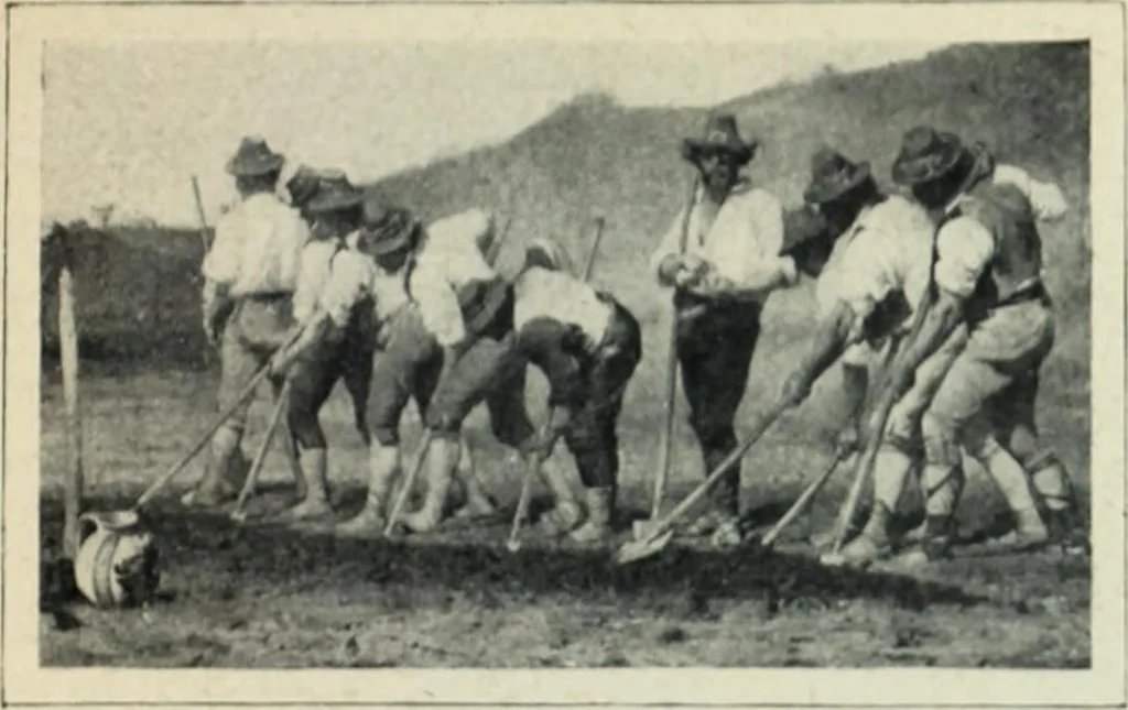 An illustration from Flandre, 1913, leaf 337