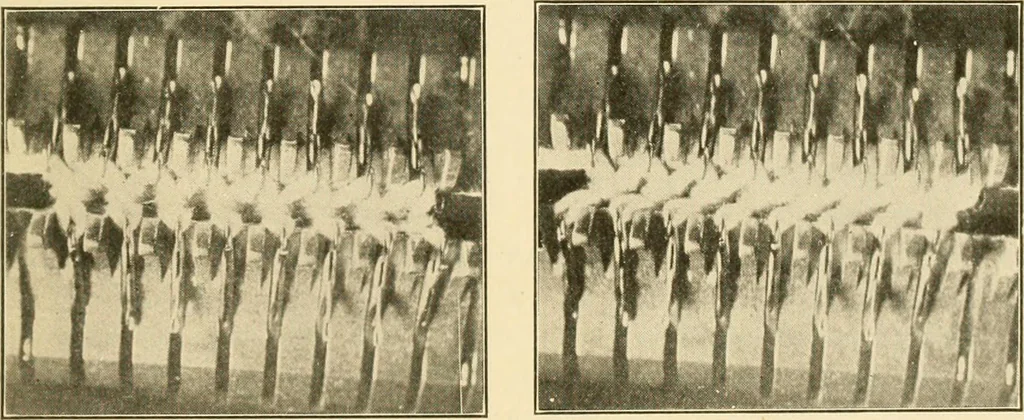 An illustration from Flat machine knitting and fabrics, 1921, leaf 37