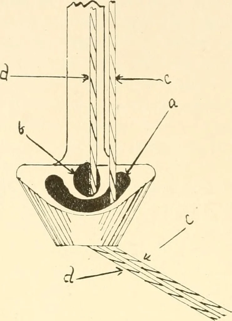 An illustration from Flat machine knitting and fabrics, 1921, leaf 52