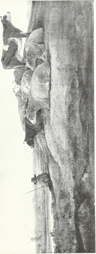 An illustration from Illustrated catalogue of 100 paintings of Old Masters of the Dutch, Flemish, Italian, French and English schools : belonging to the Sedelmeyer Gallery which contains about 1000 original paintings by ancient and modern artists, 1894, leaf 18