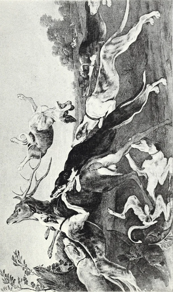 An illustration from Illustrated catalogue of 100 paintings of Old Masters of the Dutch, Flemish, Italian, French and English schools : belonging to the Sedelmeyer Gallery which contains about 1000 original paintings by ancient and modern artists, 1894, leaf 70