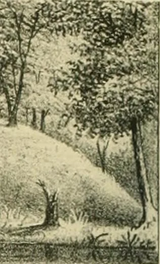 An illustration from "Flems" views of old Pittsburgh : a portfolio of the past precious with memories, 1905, leaf 85