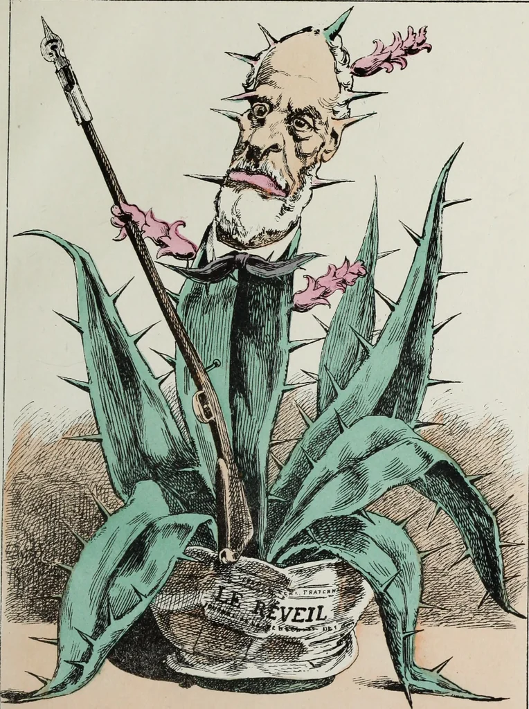 An illustration from Fleurs fruits & legumes du jour, 1871, leaf 14