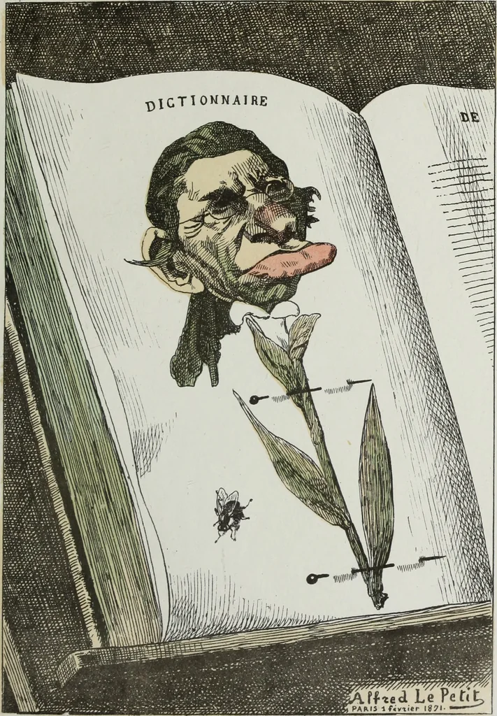 An illustration from Fleurs fruits & legumes du jour, 1871, leaf 28