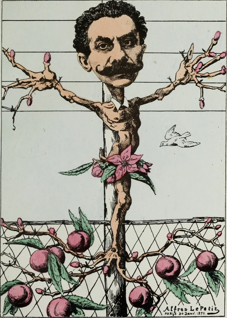 An illustration from Fleurs fruits & legumes du jour, 1871, leaf 30