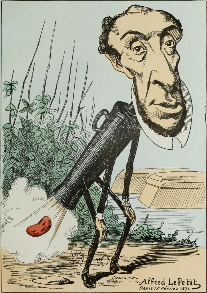 An illustration from Fleurs fruits & legumes du jour, 1871, leaf 42